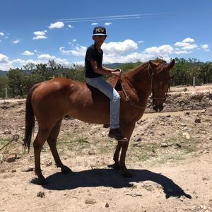 Meet your Posher, Pablo